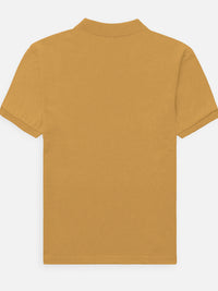 Back_3_c_43.jpg